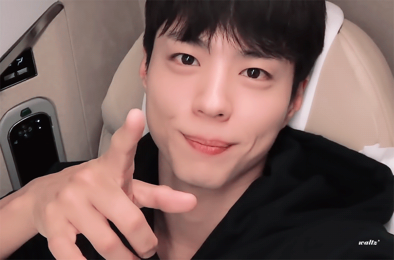 [잡담] 혹시 박보검 우는거에 관심 있는 사람?(귀여운 울보 강아지 영업) | 인스티즈