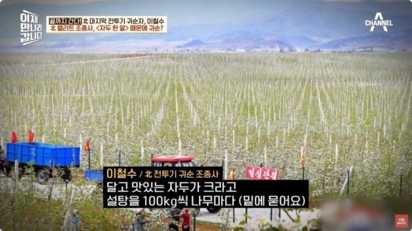 [정보/소식] 북한 8살 어린이 공개 처형 사유.jpg | 인스티즈