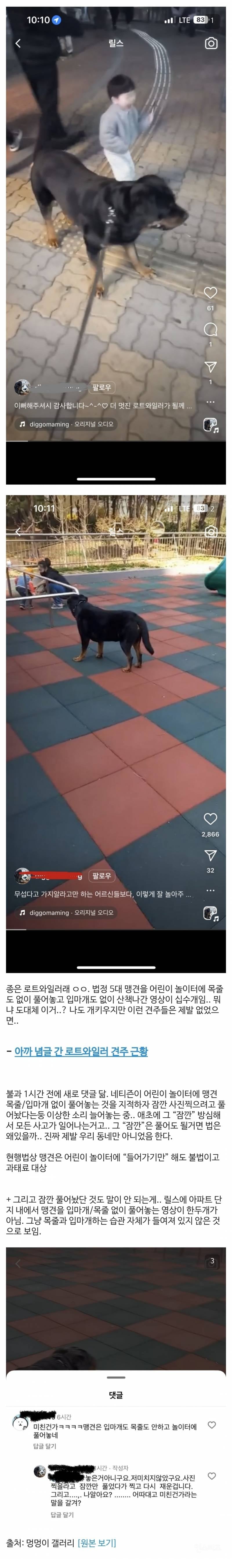 인스타에서 난리난 놀이터 강아지.jpg | 인스티즈