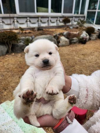[잡담] 확신의 케이티상 | 인스티즈