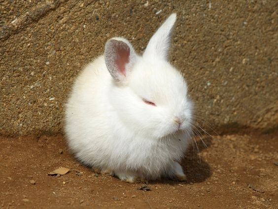 [잡담] 난 도영이 | 인스티즈