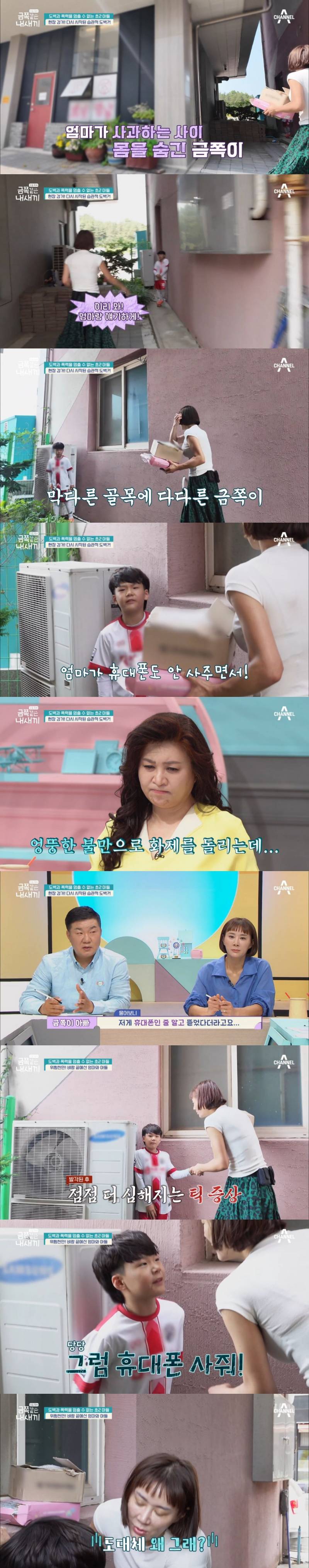 오은영도 표정관리 못한 이번주 도벽 금쪽이.JPG (혈압주의) | 인스티즈