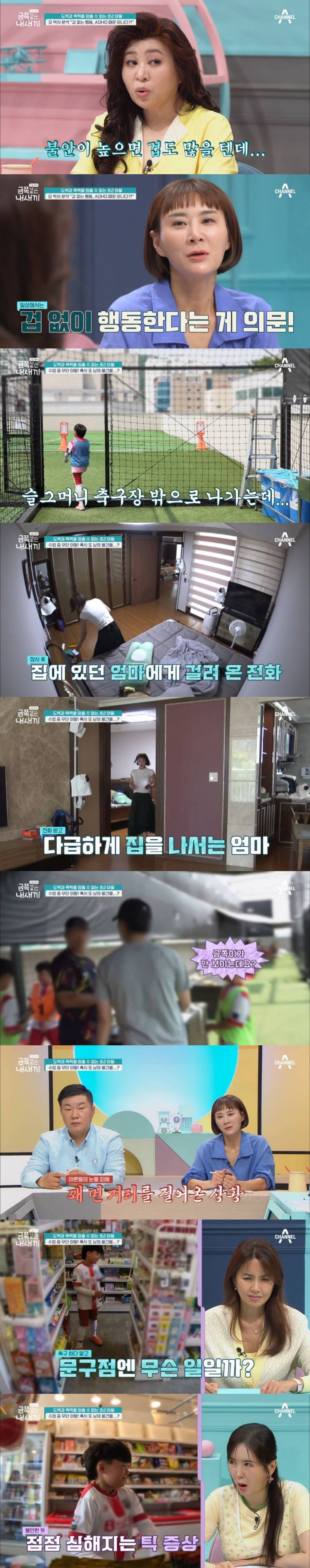 오은영도 표정관리 못한 이번주 도벽 금쪽이.JPG (혈압주의) | 인스티즈