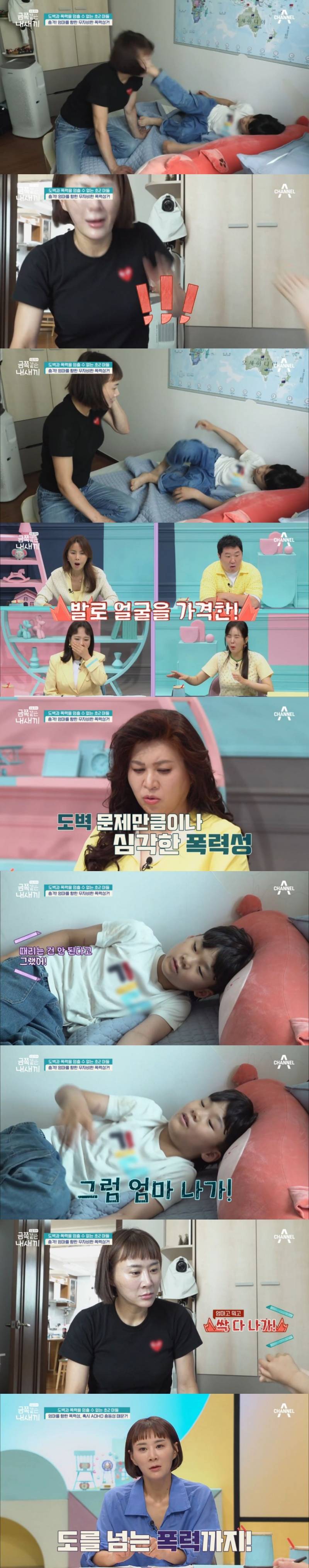 오은영도 표정관리 못한 이번주 도벽 금쪽이.JPG (혈압주의) | 인스티즈