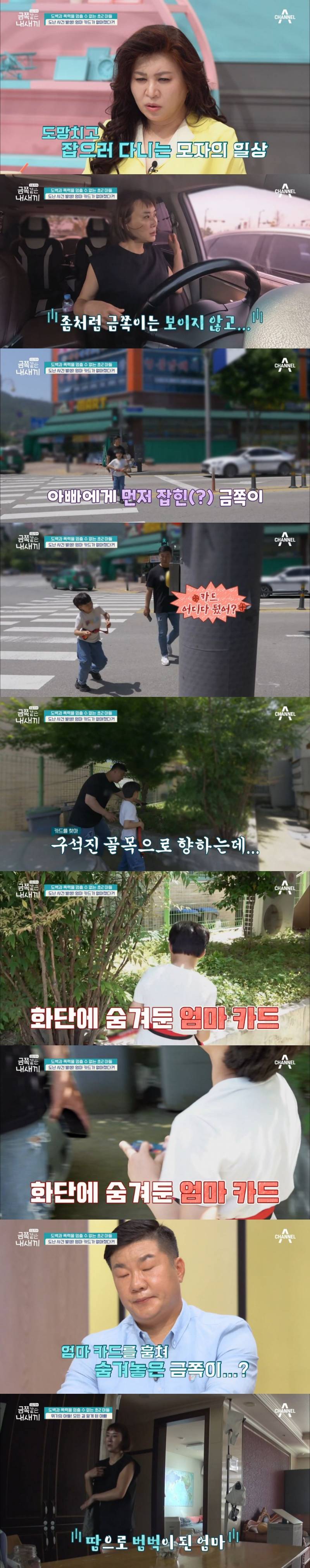 오은영도 표정관리 못한 이번주 도벽 금쪽이.JPG (혈압주의) | 인스티즈