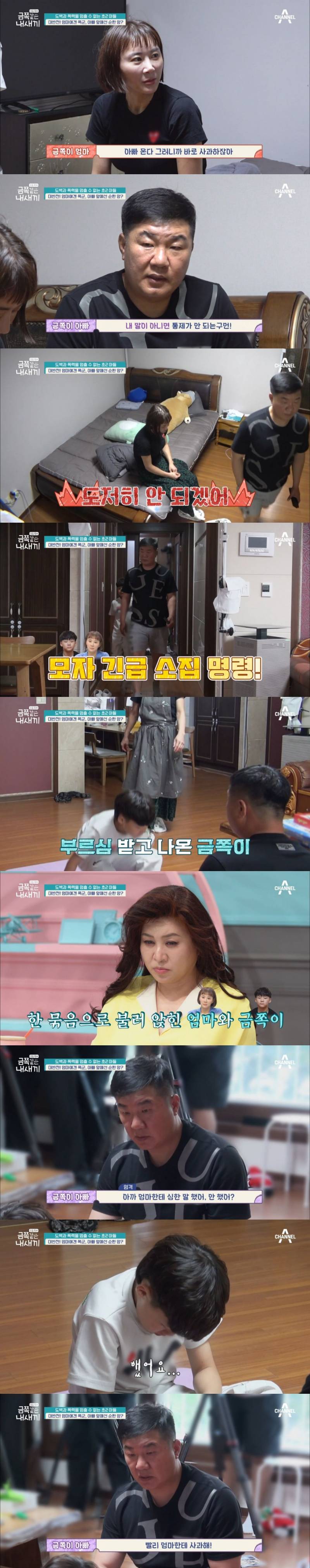 오은영도 표정관리 못한 이번주 도벽 금쪽이.JPG (혈압주의) | 인스티즈