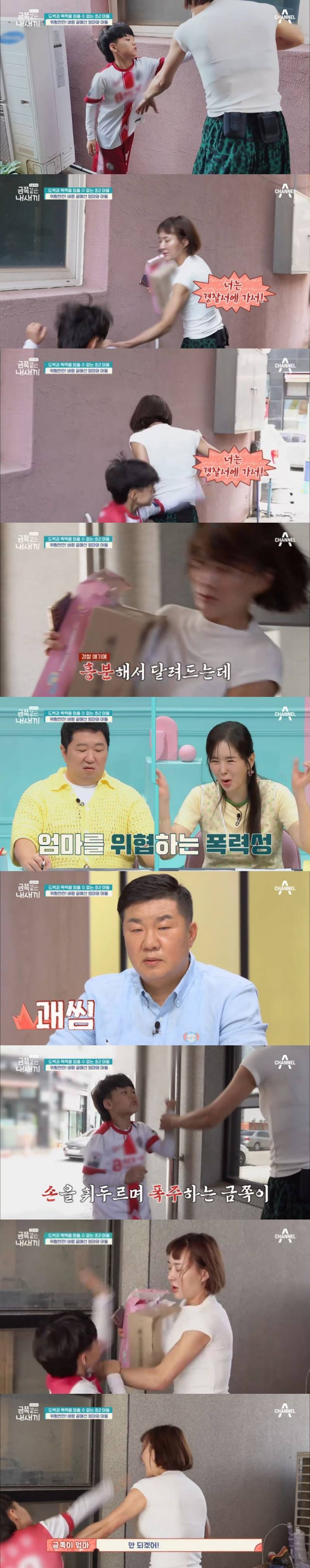 오은영도 표정관리 못한 이번주 도벽 금쪽이.JPG (혈압주의) | 인스티즈