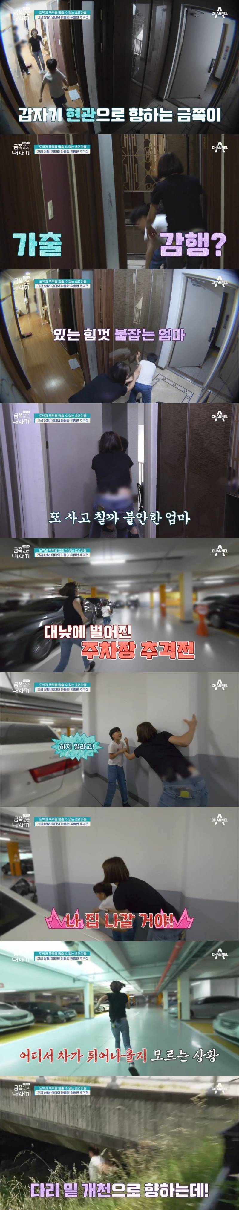 오은영도 표정관리 못한 이번주 도벽 금쪽이.JPG (혈압주의) | 인스티즈