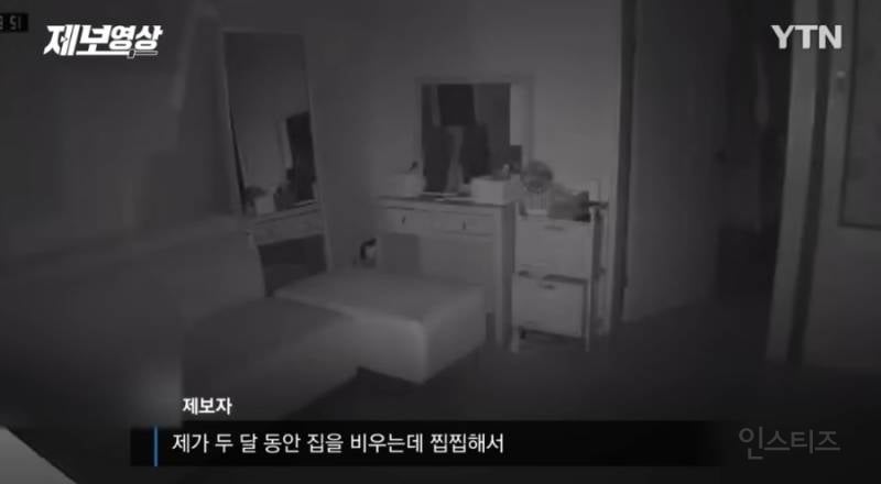 집에 cctv 감지 떠서 확인했더니 소름돋은 세입자ㄷㄷㄷ.gif | 인스티즈