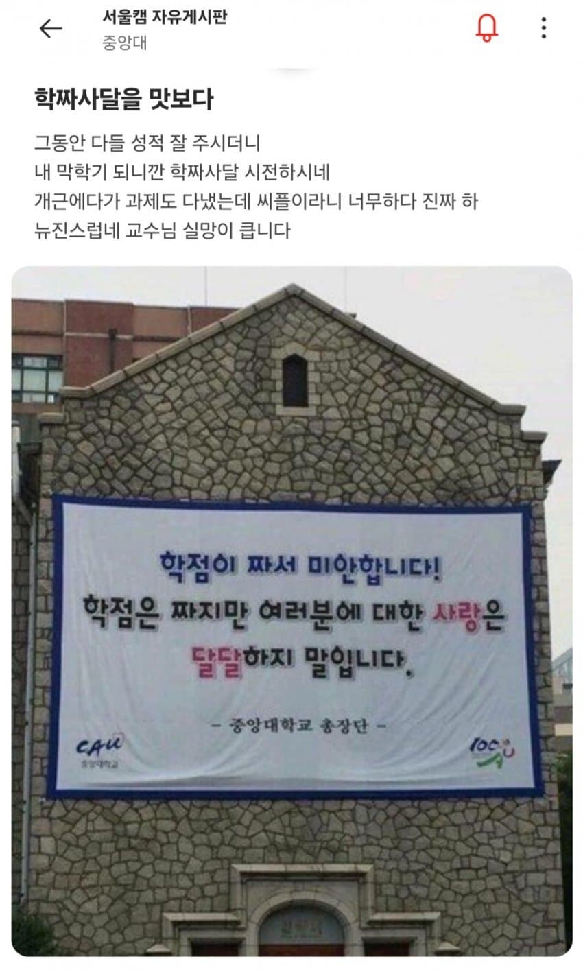 [마플] 뉴진스럽다 에타반응 | 인스티즈