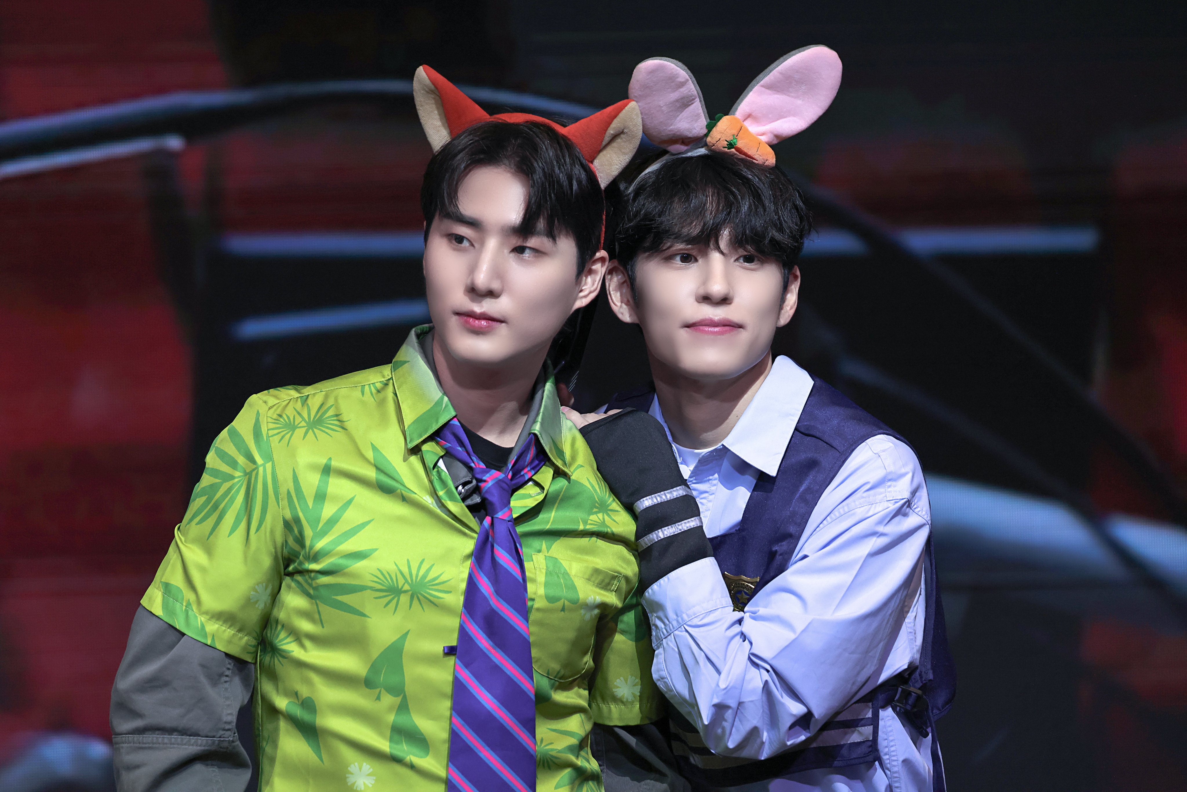 여우상 VS 토끼상 아이돌 구별하는법 | 인스티즈