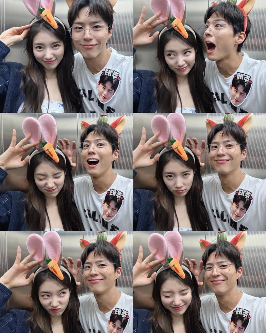 [잡담] 박보검 수지 새사진 떴다!!🐰🐰 | 인스티즈