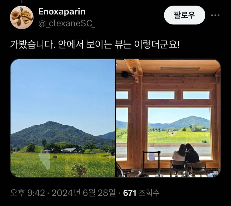 현재 반응터진 폴바셋 경주.JPG | 인스티즈