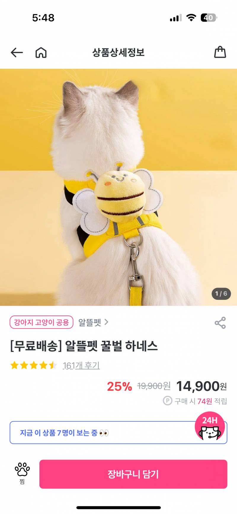 [잡담] 강아지 키우는 익들아!! 선물로 뭐가 좋아? | 인스티즈