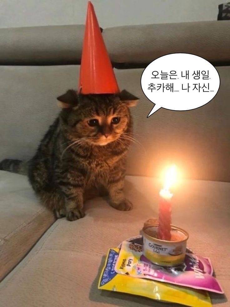 [잡담] 오늘 무슨 날인지 알아? | 인스티즈