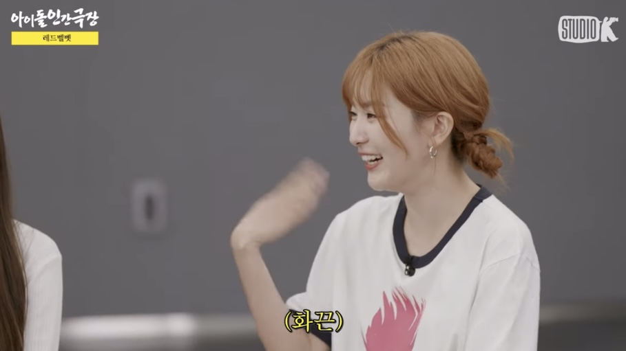 보는 사람 울다가 울렸다는 아이돌 인간극장 레드벨벳 편 | 인스티즈