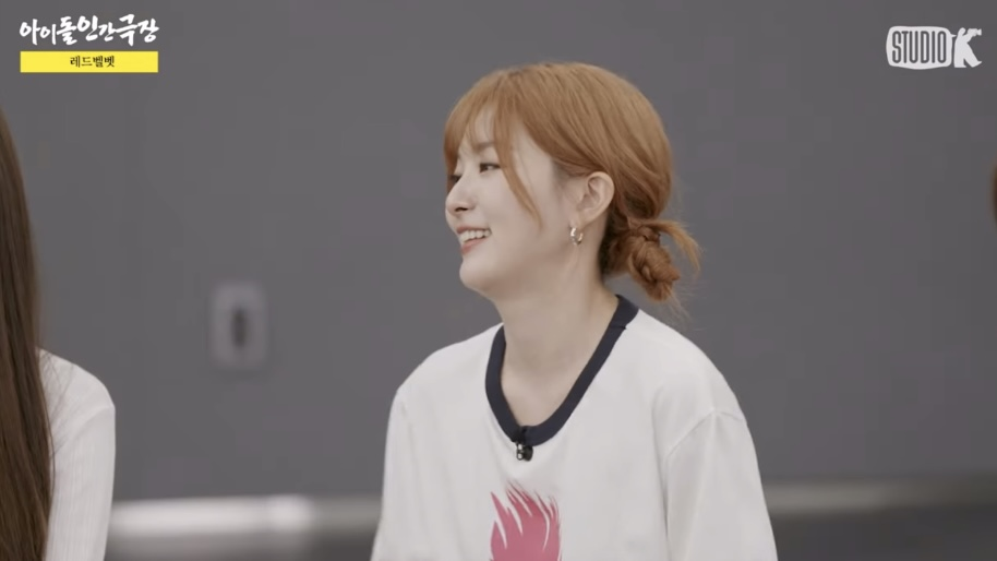 보는 사람 울다가 울렸다는 아이돌 인간극장 레드벨벳 편 | 인스티즈