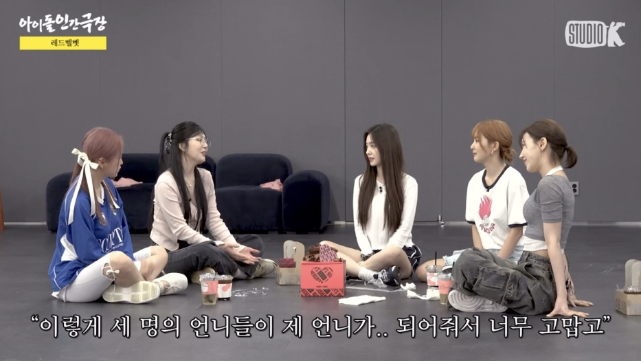 보는 사람 울다가 울렸다는 아이돌 인간극장 레드벨벳 편 | 인스티즈