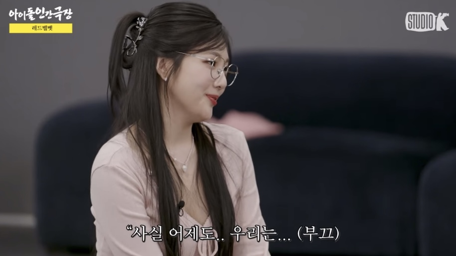 보는 사람 울다가 울렸다는 아이돌 인간극장 레드벨벳 편 | 인스티즈