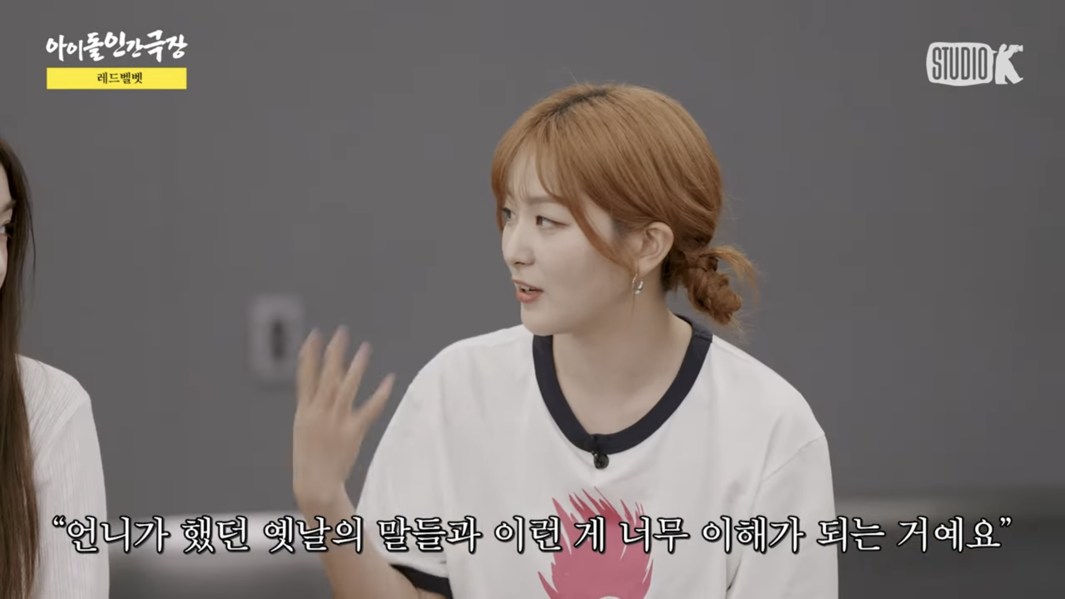 보는 사람 울다가 울렸다는 아이돌 인간극장 레드벨벳 편 | 인스티즈