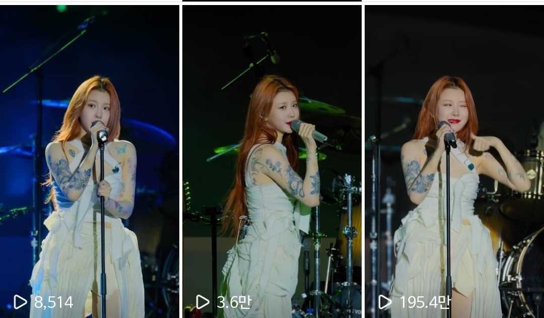[잡담] 백예린이 원래 용 문신도 있었나? | 인스티즈