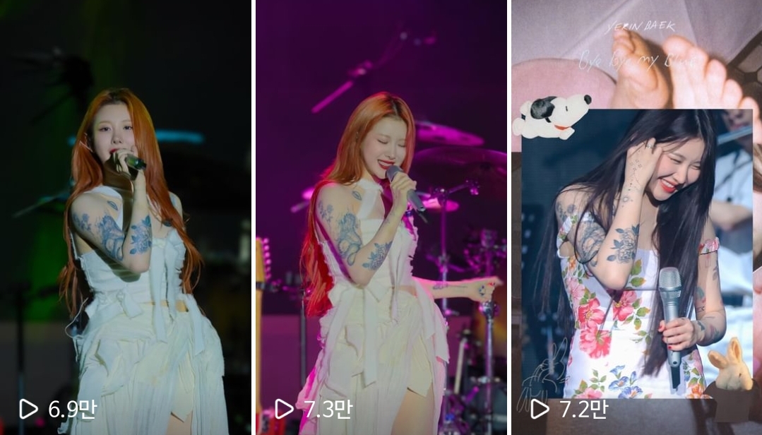 [잡담] 백예린이 원래 용 문신도 있었나? | 인스티즈