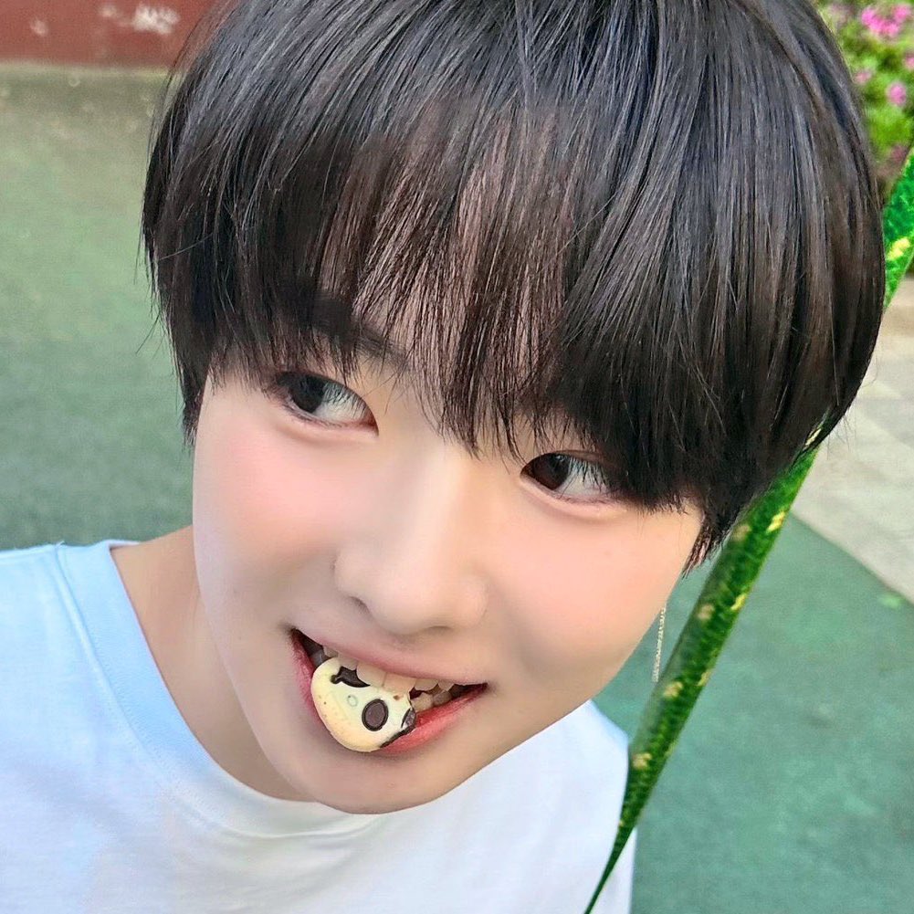 [잡담] 사쿠야 젖살빠지면 개잘생겼을거 같음 | 인스티즈