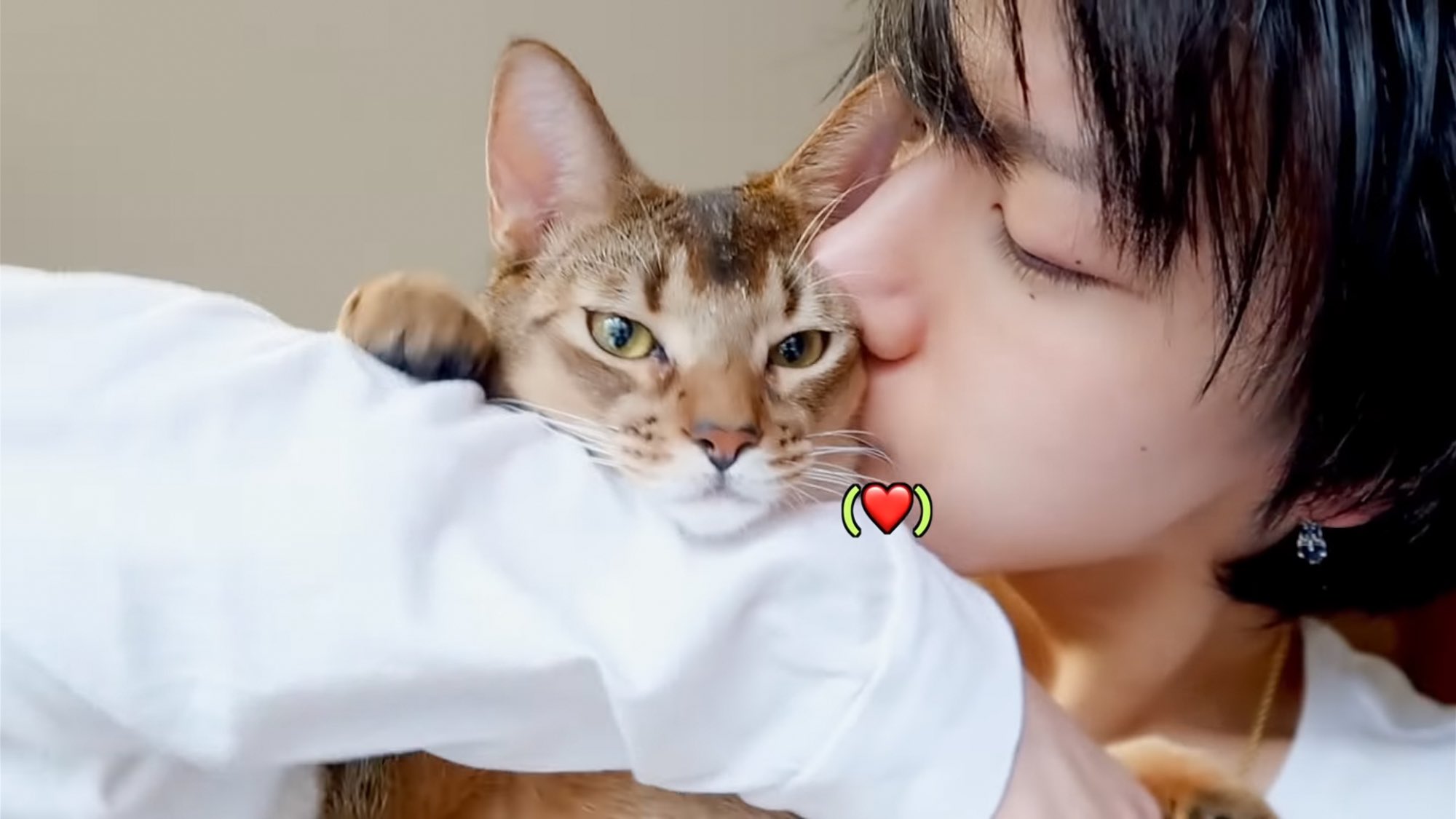 숙소에서 같이 사는 강아지 고양이 마저 웃수저라는 SM 남자아이돌 | 인스티즈