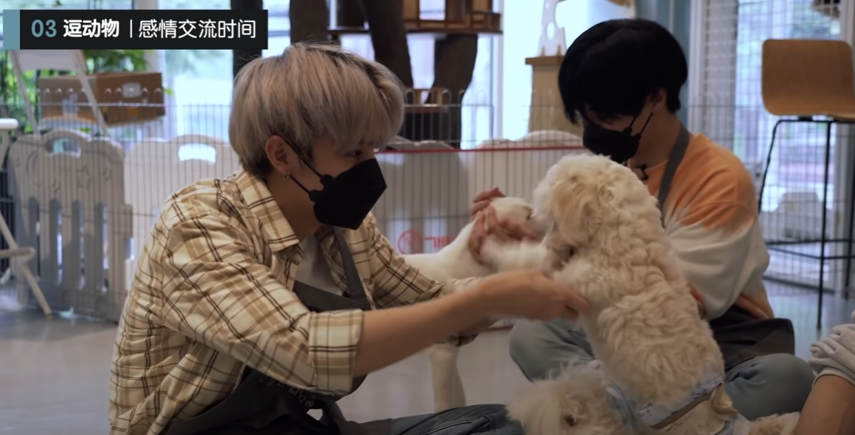 숙소에서 같이 사는 강아지 고양이 마저 웃수저라는 SM 남자아이돌 | 인스티즈