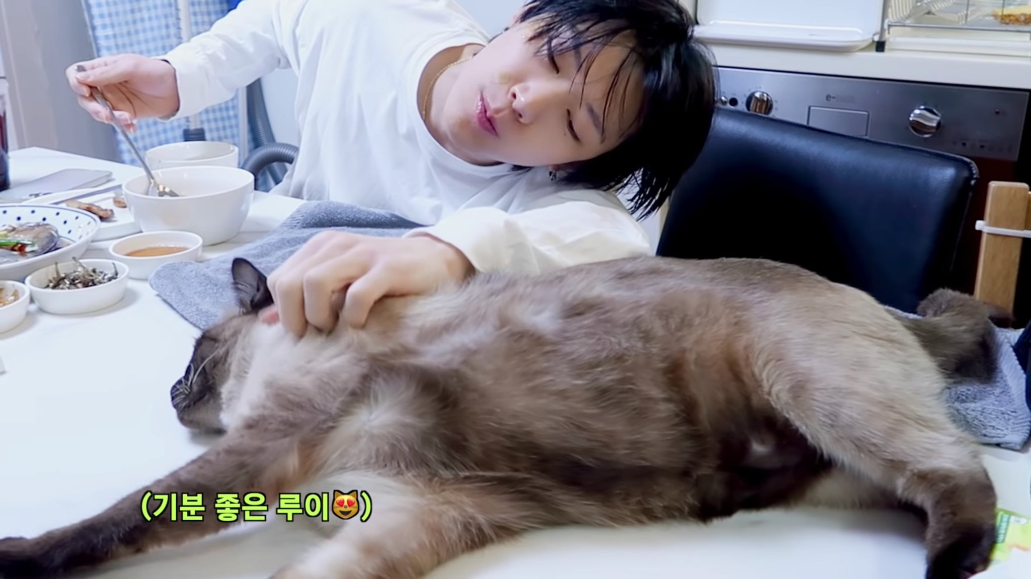숙소에서 같이 사는 강아지 고양이 마저 웃수저라는 SM 남자아이돌 | 인스티즈