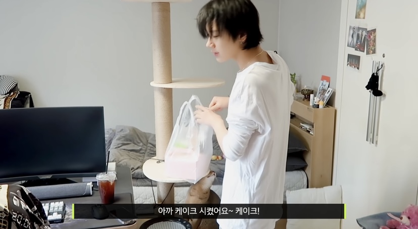 숙소에서 같이 사는 강아지 고양이 마저 웃수저라는 SM 남자아이돌 | 인스티즈