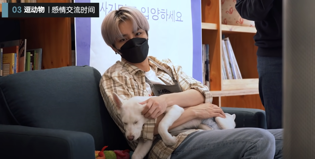 숙소에서 같이 사는 강아지 고양이 마저 웃수저라는 SM 남자아이돌 | 인스티즈