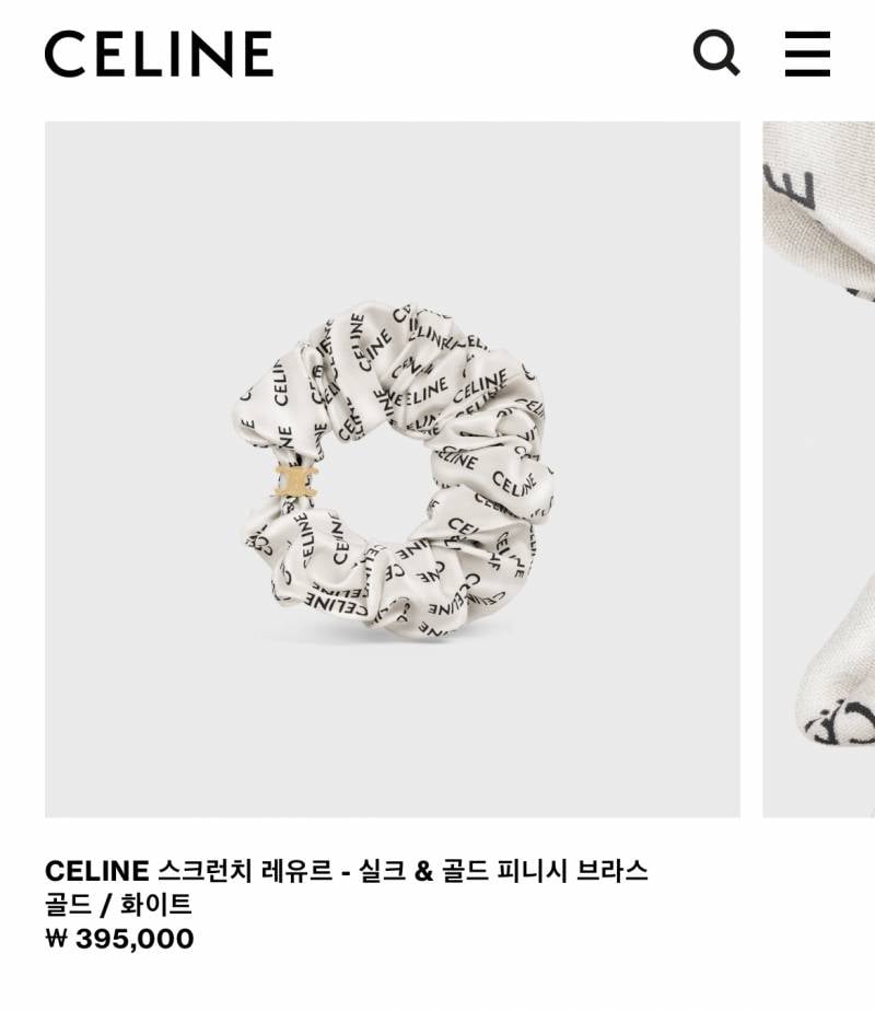 [잡담] 셀린느 뭐살까 | 인스티즈