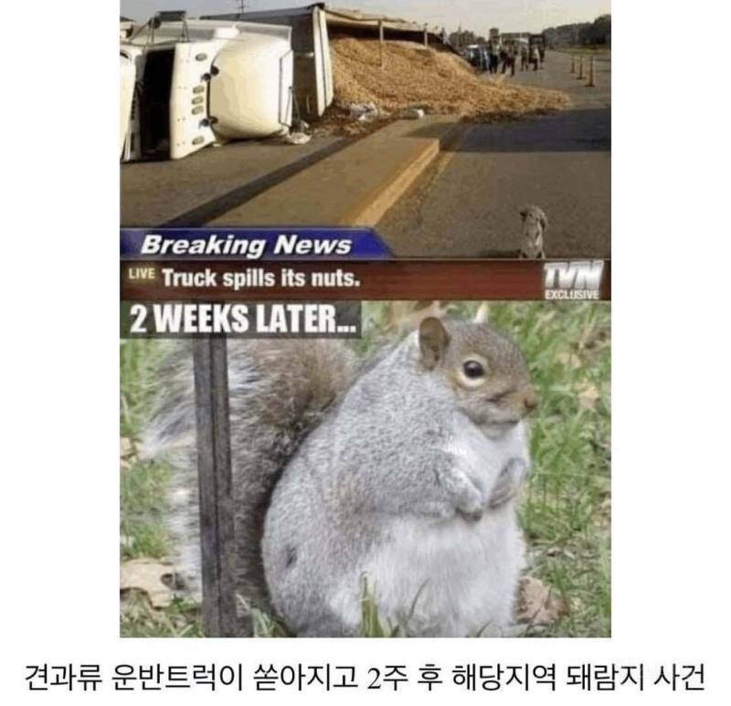 옥수수 기차 사고 충격 근황 | 인스티즈