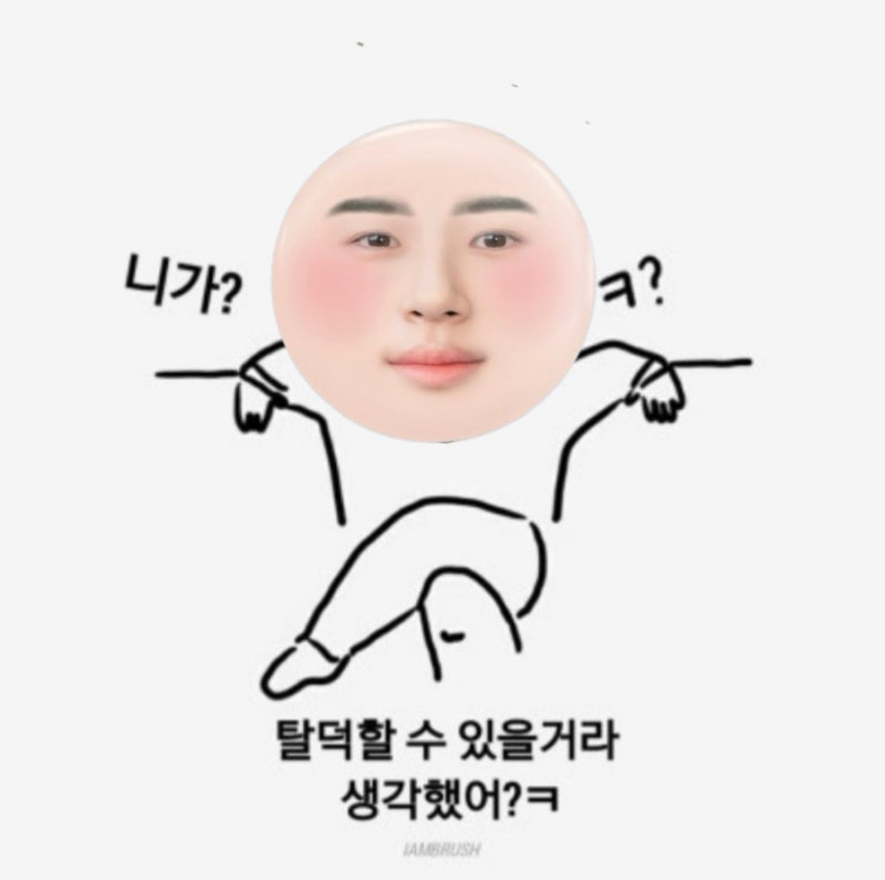 [잡담] 변우석 그립톡으로 잘 노는 통통이들ㅋㅋㅋㅋ | 인스티즈