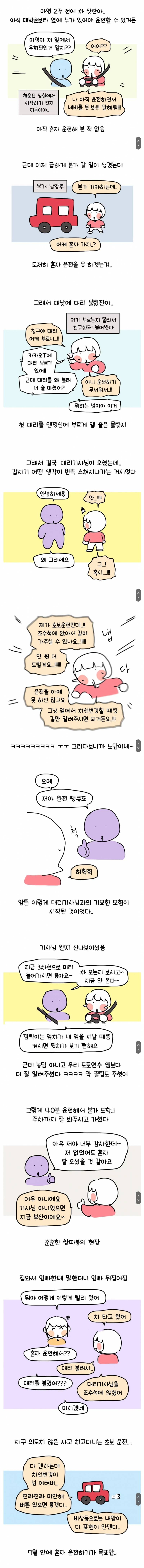 초보운전자가 대낮에 맨정신으로 대리운전 부른 썰.jpg | 인스티즈