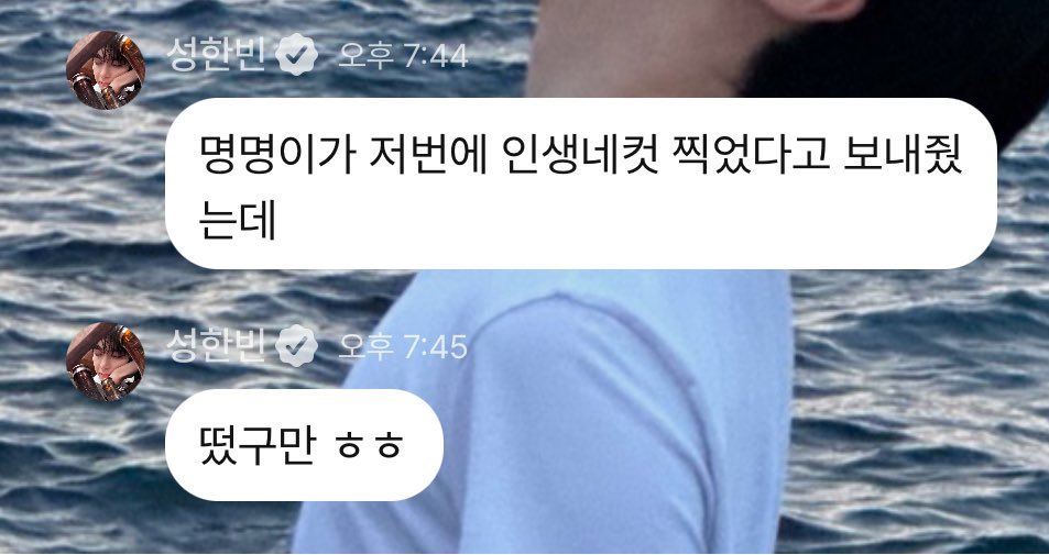 [잡담] 아니 이제 캣형도 그냥 명명이라고 부르시네 | 인스티즈