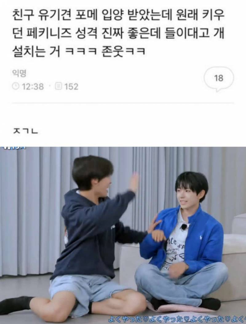 제발 나도 껴줬으면 하는 일본인4명 한국인2명이 하는 마피아 게임 | 인스티즈