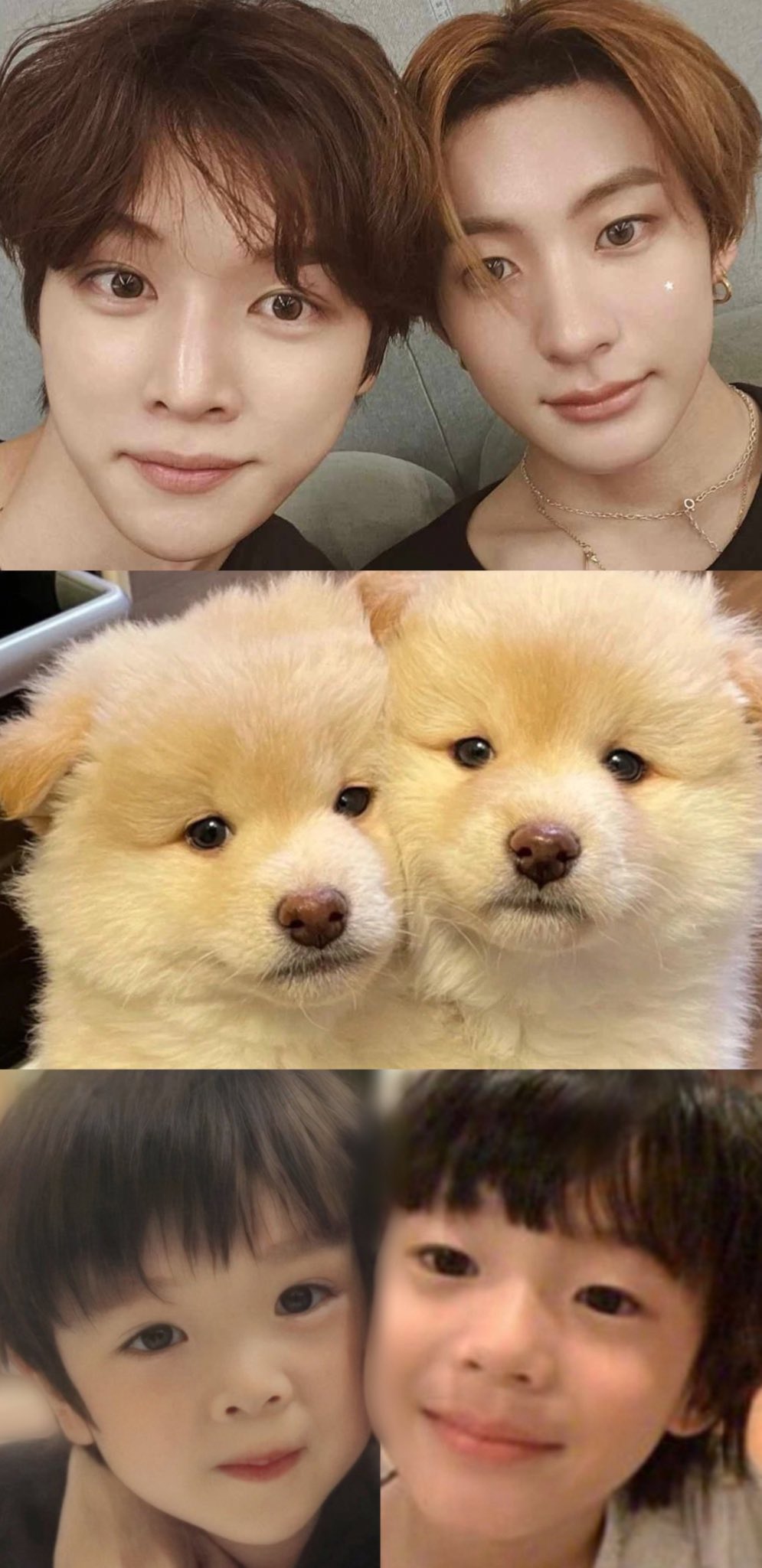 ㄱ [잡담] 내가 전생에 어떤 착한 일을 했길래 내 씨피에게 이런 짤들이 존재하는 걸까... | 인스티즈