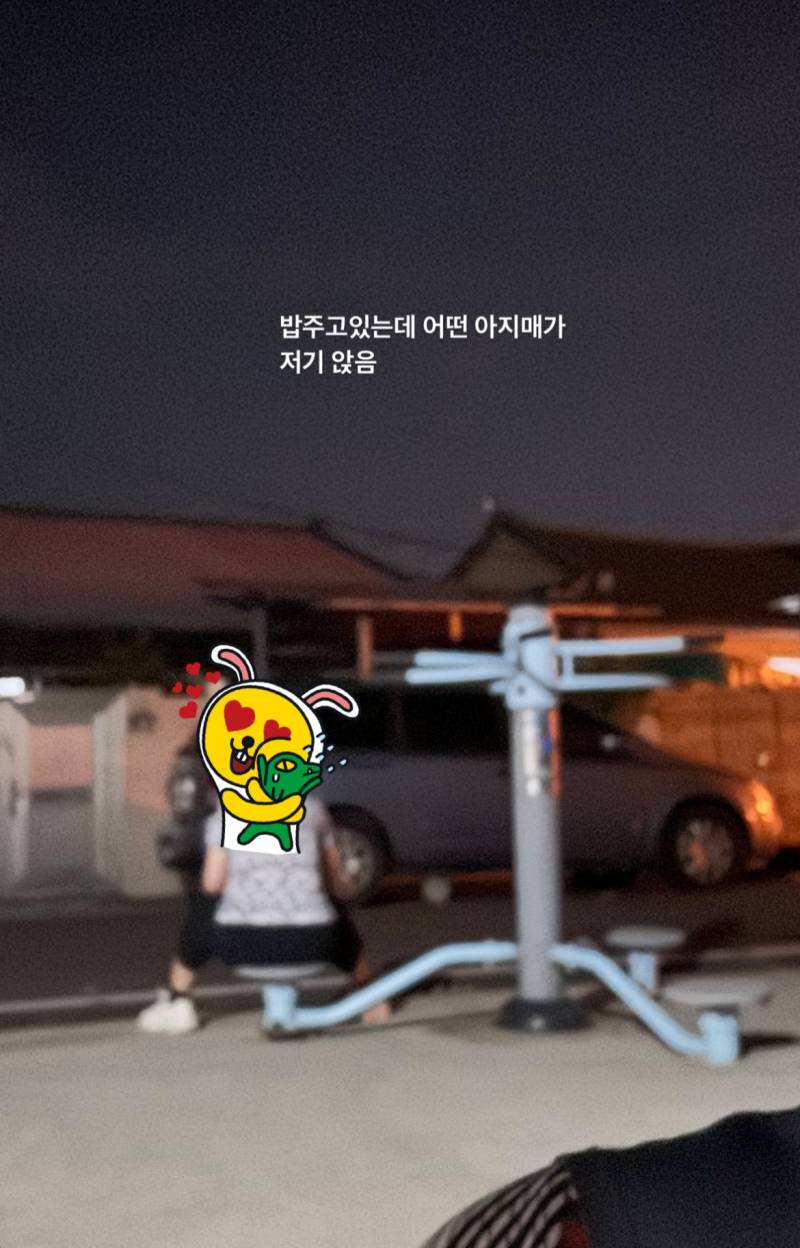 [잡담] 일부 캣맘들이 이런것때문에 싫음 | 인스티즈
