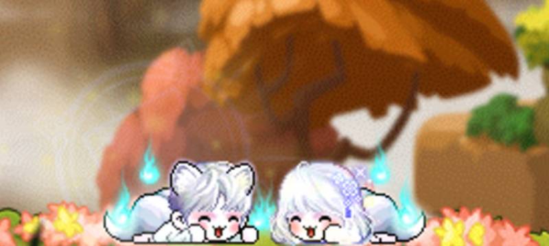 [잡담] 메이플 할 때 제일 재밌는 것! | 인스티즈