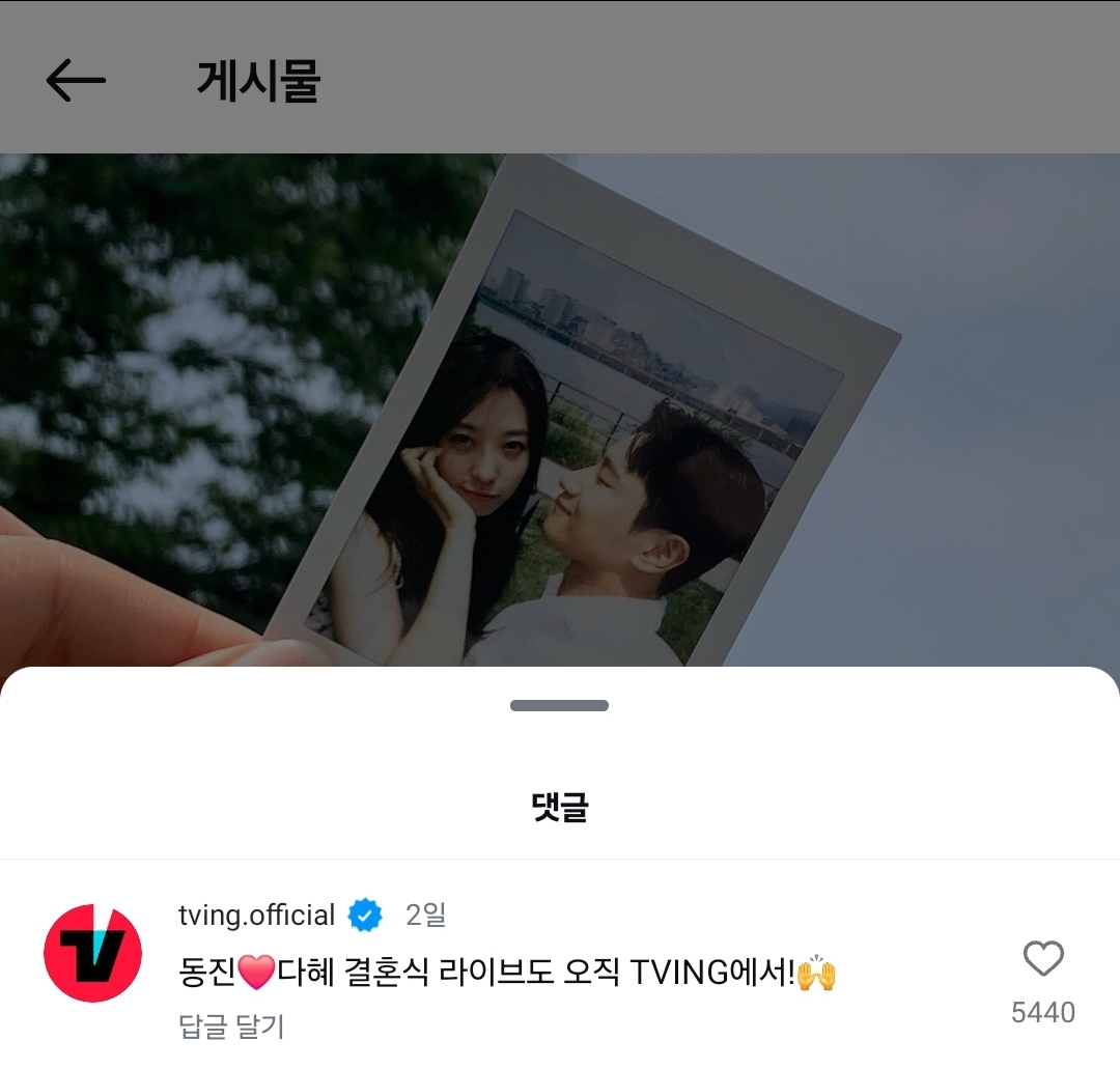 [잡담] 티빙 인스타ㅋㅋ동다 재결합 인스타댓글 미친거 아니야?ㅋㅋ | 인스티즈