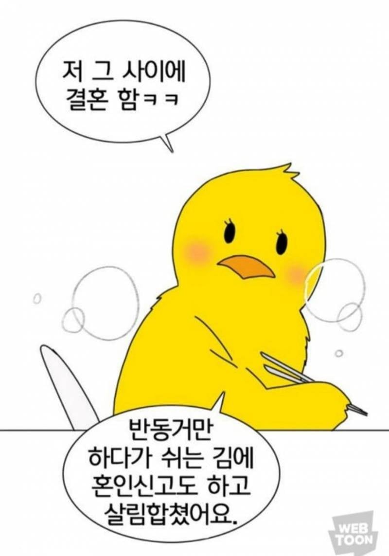 네이버 웹툰 연애혁명 작가 근황 | 인스티즈