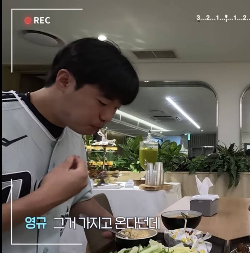 [잡담] 때지와 알파카의 차이 | 인스티즈
