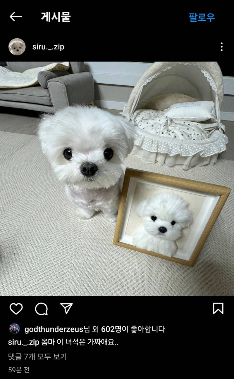 [잡담] 인스타보다 발견한 우제 근황.. | 인스티즈