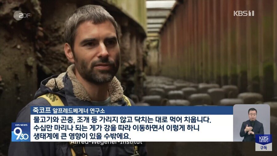 [정보/소식] 속보)독일, 생태계 위협하는 참게 처치곤란.news | 인스티즈