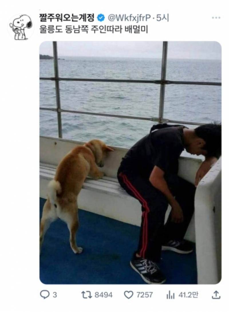 짤 모음 ~! 타노스좀 봐 ㅋㅋㅋㅋㅋㅋㅋ | 인스티즈