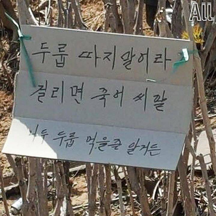 짤 모음 ~! 타노스좀 봐 ㅋㅋㅋㅋㅋㅋㅋ | 인스티즈