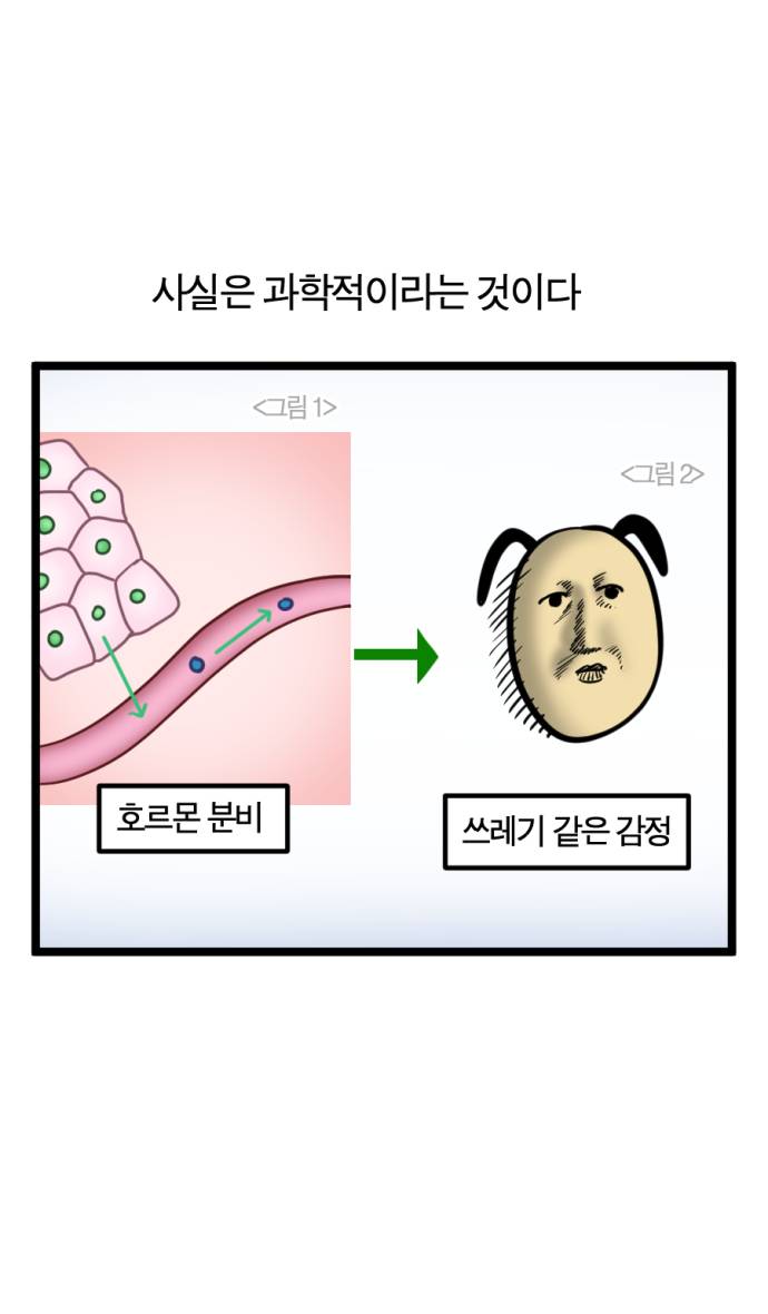 [잡담] 생리기간되면 미친듯이 졸림 자도 자도 잠이부족함 | 인스티즈