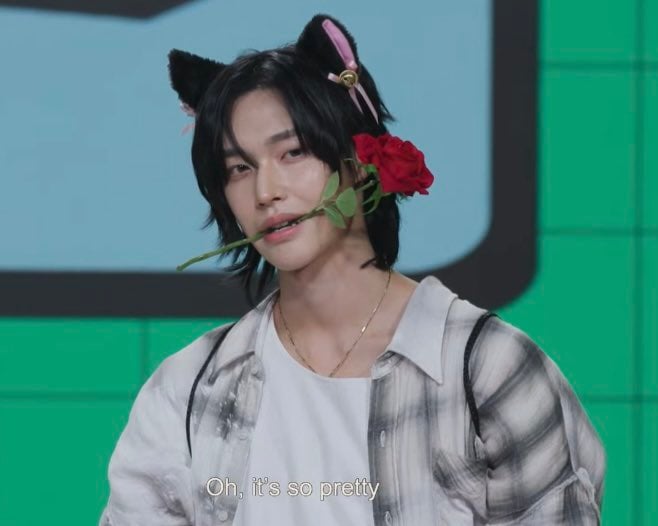 [잡담] 나 원빈이가 진짜 고양이로 보여 | 인스티즈